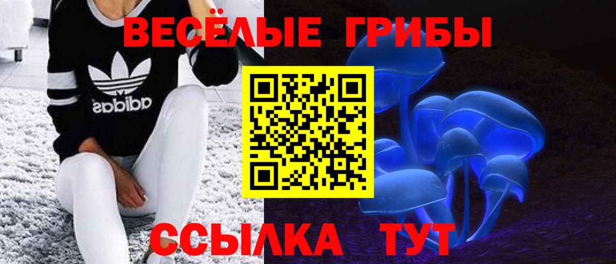 Псилоцибиновые грибы GOLDEN TEACHER Мурино