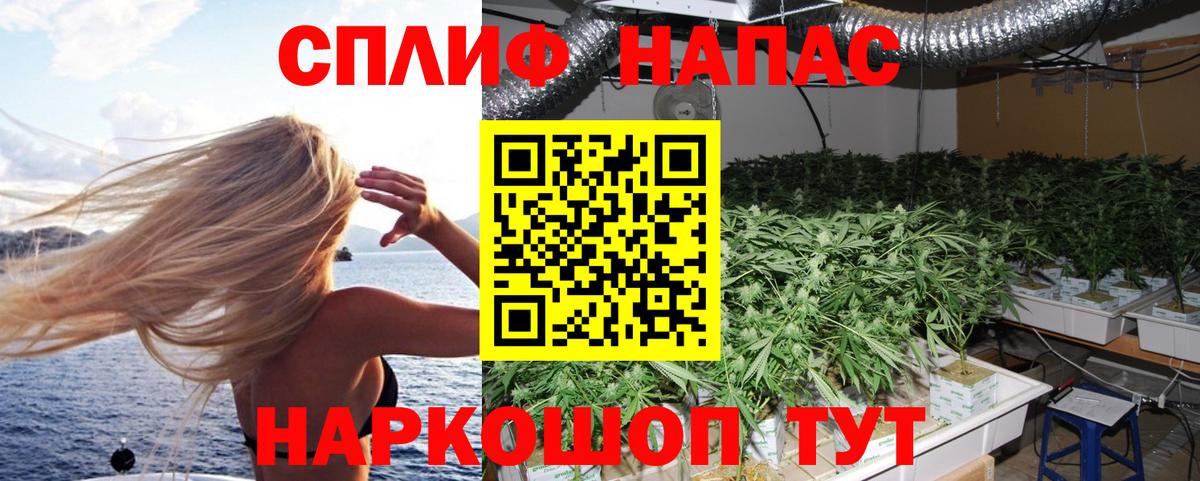 Каннабис семена Мурино